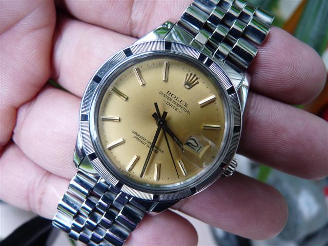 Name:  P1170870 (Small).JPG
Views: 2175
Size:  61.5 KB