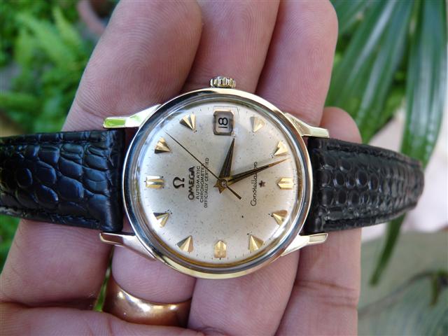 Name:  P1170506 (Small).JPG
Views: 1637
Size:  51.8 KB