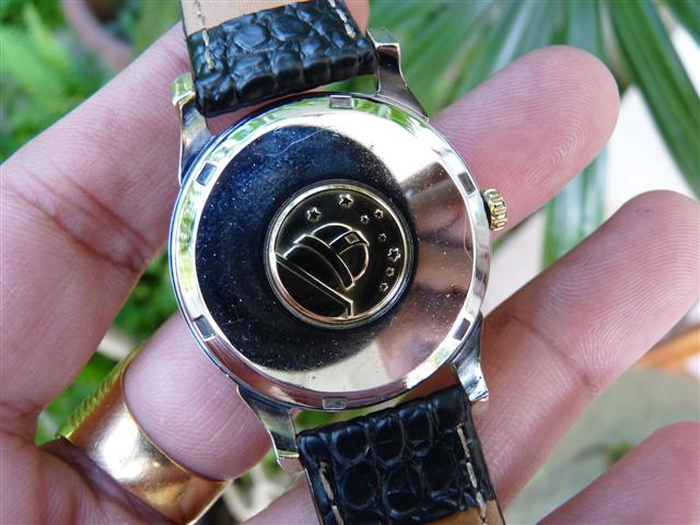 Name:  P1170536 (Small).JPG
Views: 1651
Size:  59.7 KB