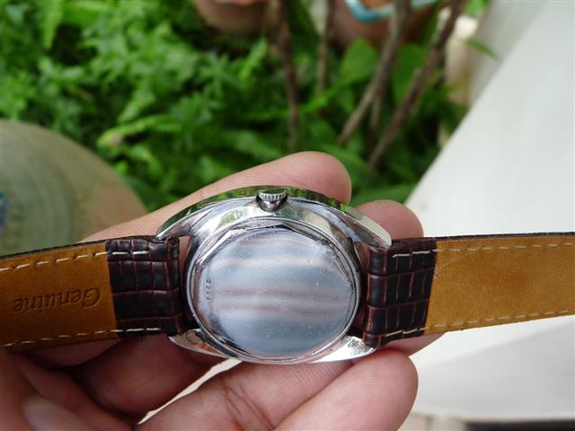 Name:  P1170301 (Small).JPG
Views: 557
Size:  44.0 KB