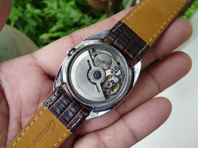 Name:  P1170307 (Small).JPG
Views: 569
Size:  55.1 KB