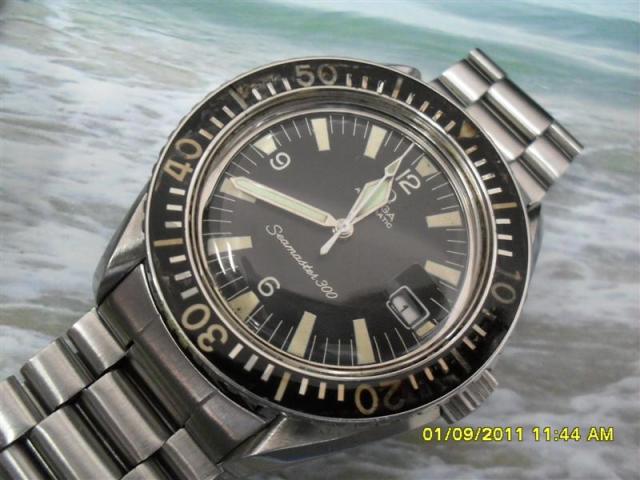 Name:  SDC14340 (Medium).jpg
Views: 1179
Size:  47.5 KB