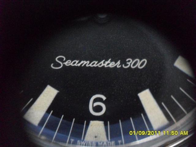 Name:  SDC14369 (Medium).jpg
Views: 1053
Size:  30.0 KB