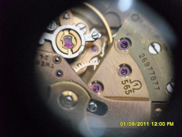 Name:  SDC14409 (Medium).jpg
Views: 1049
Size:  31.8 KB
