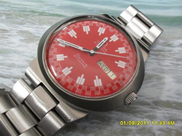 Name:  SDC14334 (Medium).jpg
Views: 1323
Size:  41.5 KB