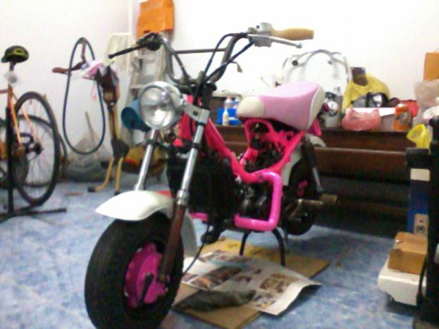 Name:  0_0.jpg
Views: 925
Size:  41.8 KB