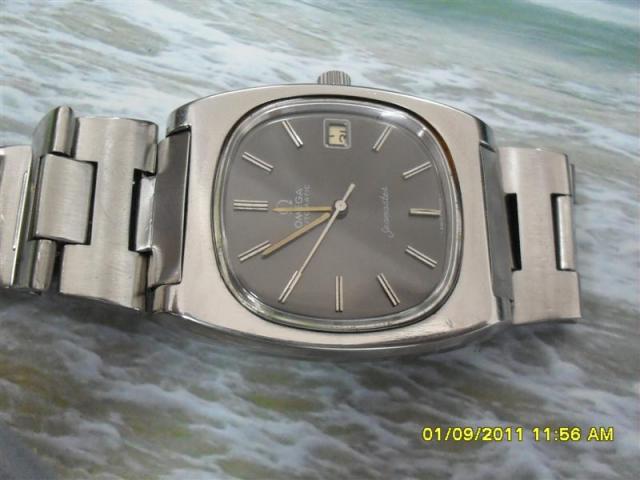 Name:  SDC14393 (Medium).jpg
Views: 1359
Size:  37.6 KB