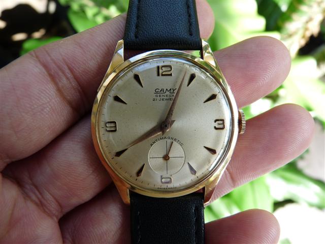 Name:  P1180820 (Small).JPG
Views: 1783
Size:  49.8 KB