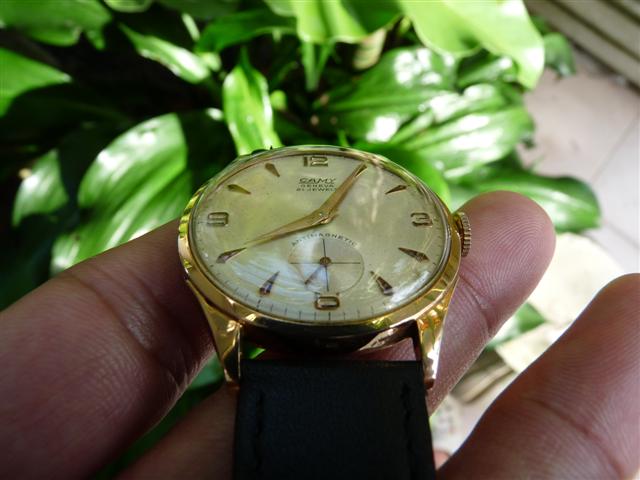 Name:  P1180834 (Small).JPG
Views: 1707
Size:  46.4 KB