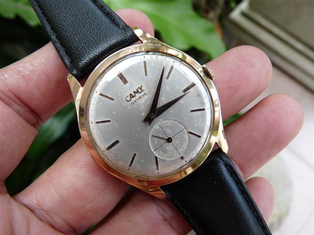 Name:  P1190054 (Small).JPG
Views: 1653
Size:  51.1 KB