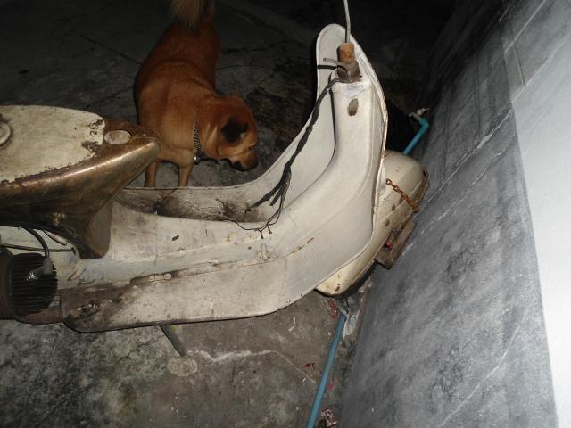Name:  DSC01168.jpg
Views: 79
Size:  43.8 KB