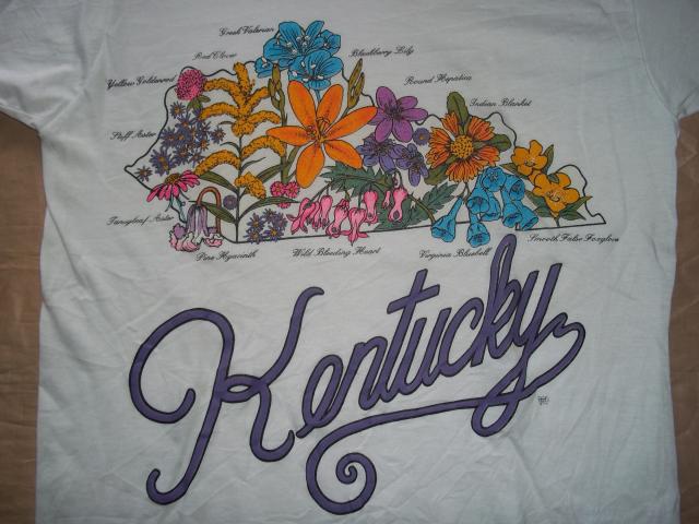 Name:  100_2748.jpg
Views: 859
Size:  49.7 KB