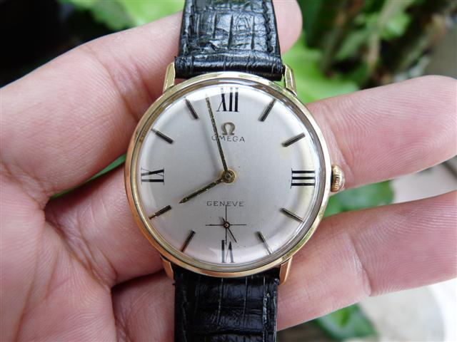 Name:  P1190153 (Small).JPG
Views: 2435
Size:  49.1 KB