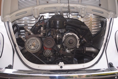 Name:  DSC_0109.jpg
Views: 2031
Size:  56.2 KB