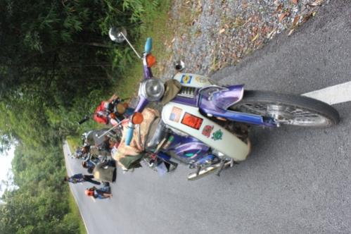 Name:  IMG_3544%20(500x333).jpg
Views: 2147
Size:  33.2 KB