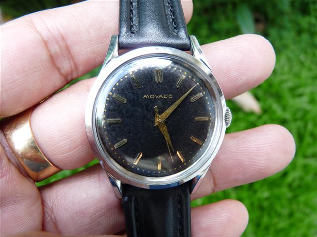 Name:  P1180471 (Small).JPG
Views: 2329
Size:  53.1 KB