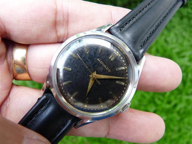 Name:  P1180474 (Small).JPG
Views: 2334
Size:  54.5 KB