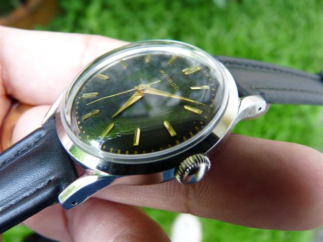 Name:  P1180481 (Small).JPG
Views: 2040
Size:  49.0 KB