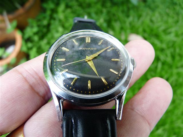 Name:  P1180483 (Small).JPG
Views: 1981
Size:  49.7 KB