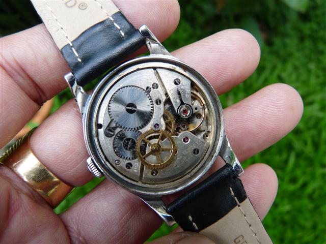 Name:  P1180488 (Small).JPG
Views: 1969
Size:  60.2 KB