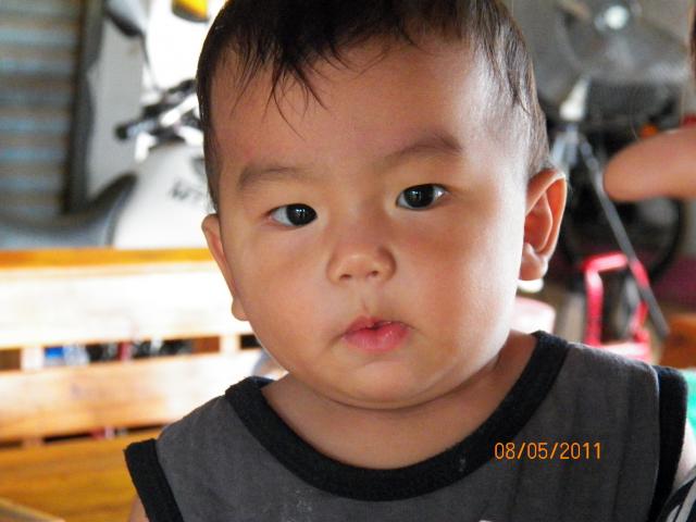 Name:  101_0009.jpg
Views: 3250
Size:  36.1 KB