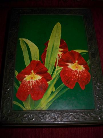 Name:  Picture 010.jpg
Views: 666
Size:  22.5 KB