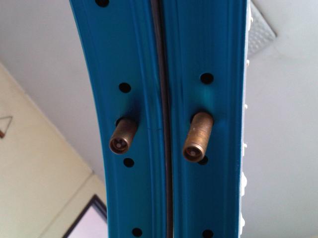 Name:  IMG00287-20110910-1438.jpg
Views: 624
Size:  19.5 KB