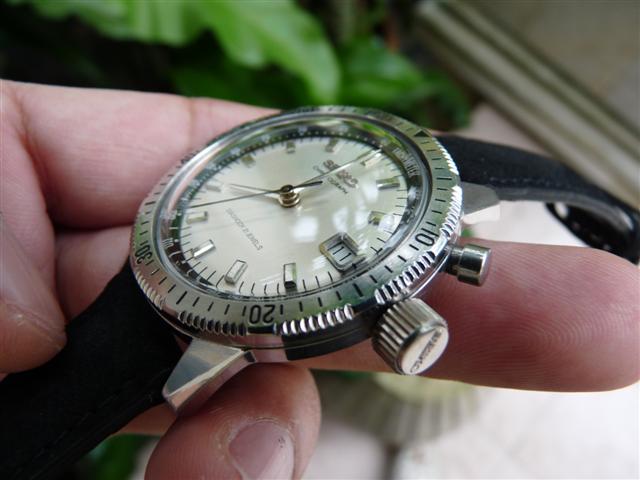 Name:  P1190675 (Small).JPG
Views: 1934
Size:  43.3 KB