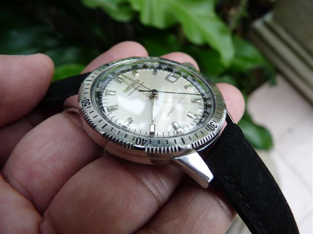 Name:  P1190673 (Small).JPG
Views: 1975
Size:  42.2 KB