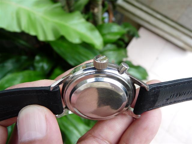 Name:  P1190682 (Small).JPG
Views: 1958
Size:  42.5 KB