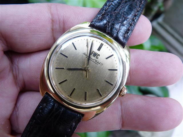 Name:  P1190616 (Small).JPG
Views: 2043
Size:  52.6 KB