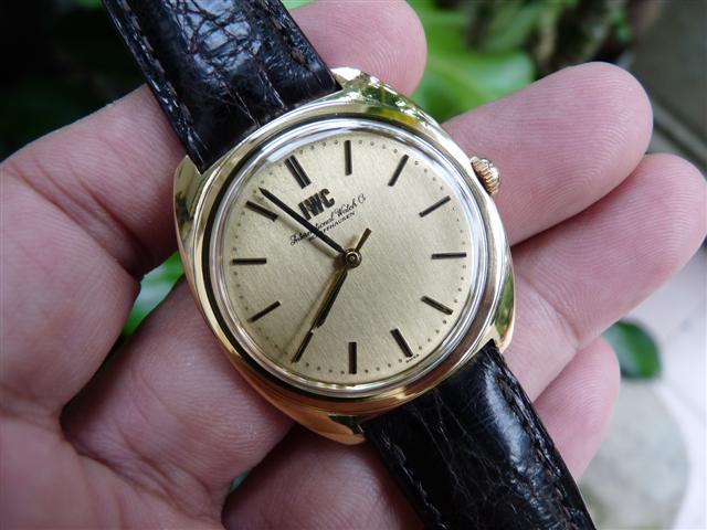 Name:  P1190613 (Small).JPG
Views: 2225
Size:  52.8 KB