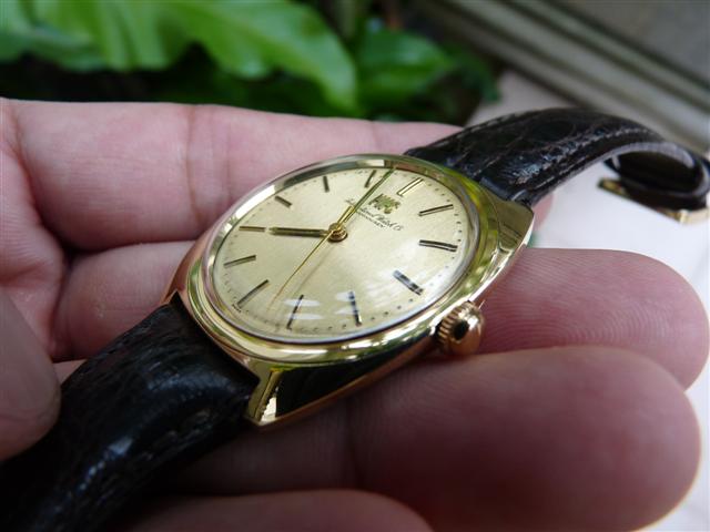 Name:  P1190622 (Small).JPG
Views: 1941
Size:  39.3 KB