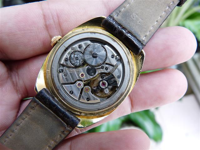 Name:  P1190632 (Small).JPG
Views: 1928
Size:  58.0 KB