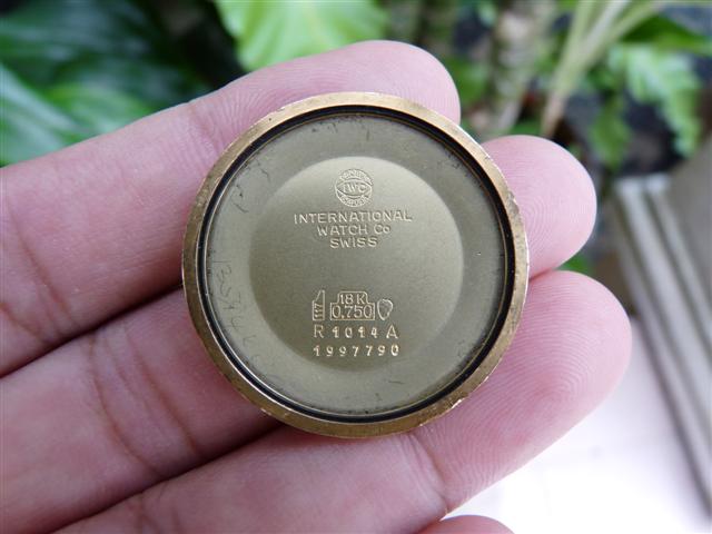 Name:  P1190635 (Small).JPG
Views: 1942
Size:  42.0 KB