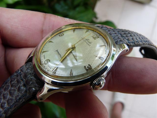 Name:  P1190112 (Small).JPG
Views: 370
Size:  45.3 KB