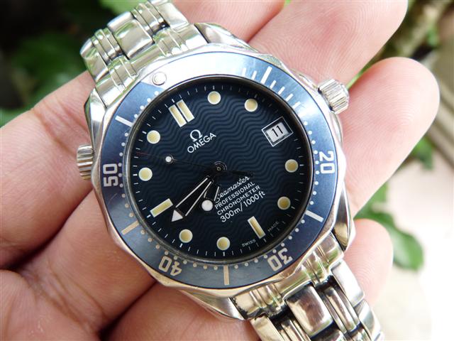 Name:  P1190578 (Small).JPG
Views: 1959
Size:  60.3 KB