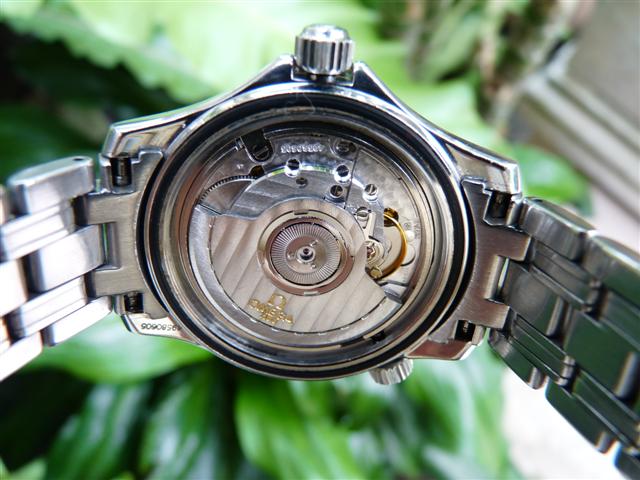 Name:  P1190607 (Small).JPG
Views: 1688
Size:  61.6 KB