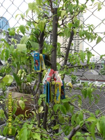 Name:  SAM_1597.jpg
Views: 1993
Size:  48.4 KB