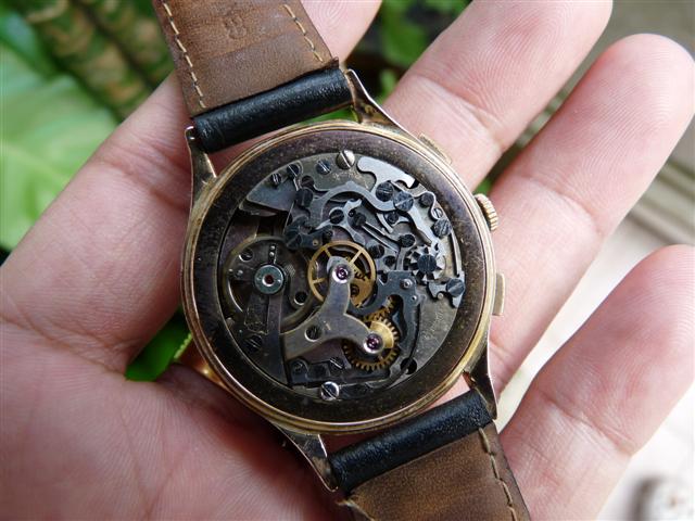 Name:  P1190801 (Small).JPG
Views: 1532
Size:  58.0 KB