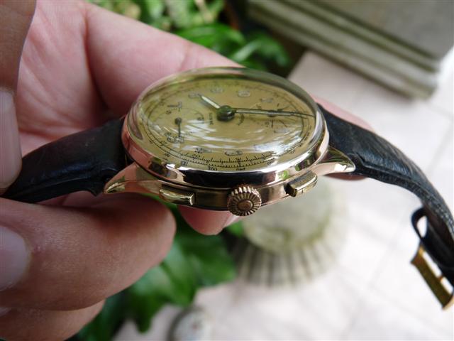 Name:  P1190788 (Small).JPG
Views: 1538
Size:  41.0 KB