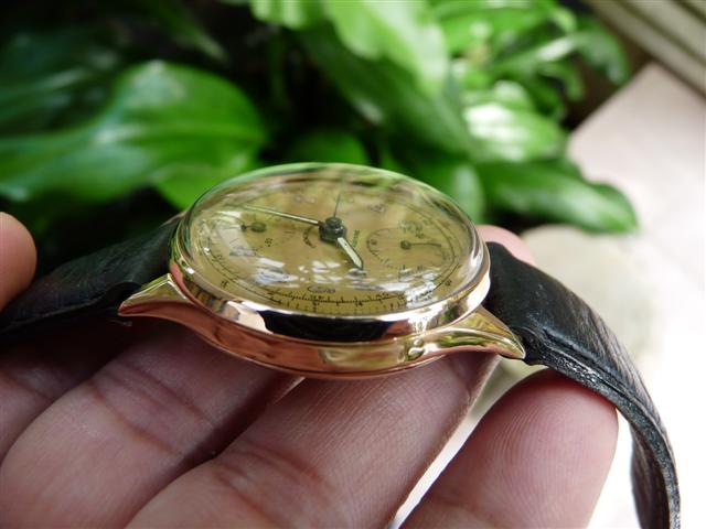 Name:  P1190790 (Small).JPG
Views: 1534
Size:  44.3 KB