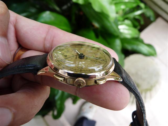 Name:  P1190792 (Small).JPG
Views: 1520
Size:  43.8 KB