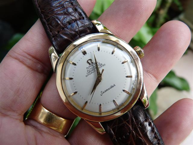 Name:  P1190808 (Small).JPG
Views: 1557
Size:  52.8 KB