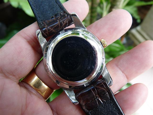 Name:  P1190826 (Small).JPG
Views: 1550
Size:  53.3 KB