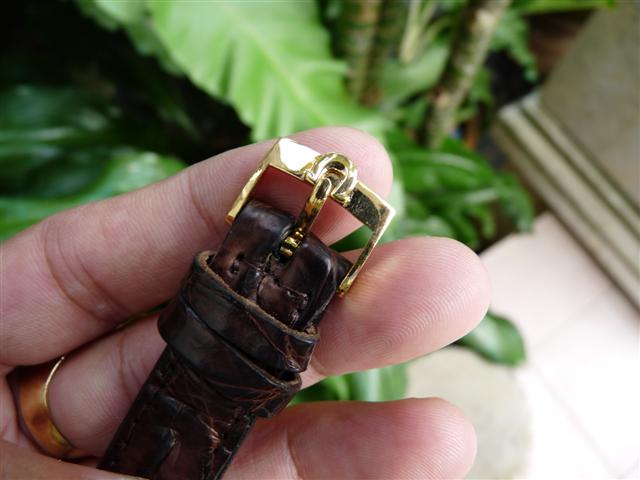 Name:  P1190832 (Small).JPG
Views: 1562
Size:  39.9 KB