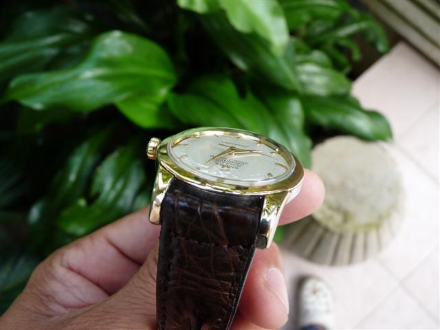 Name:  P1190820 (Small).JPG
Views: 1581
Size:  38.6 KB