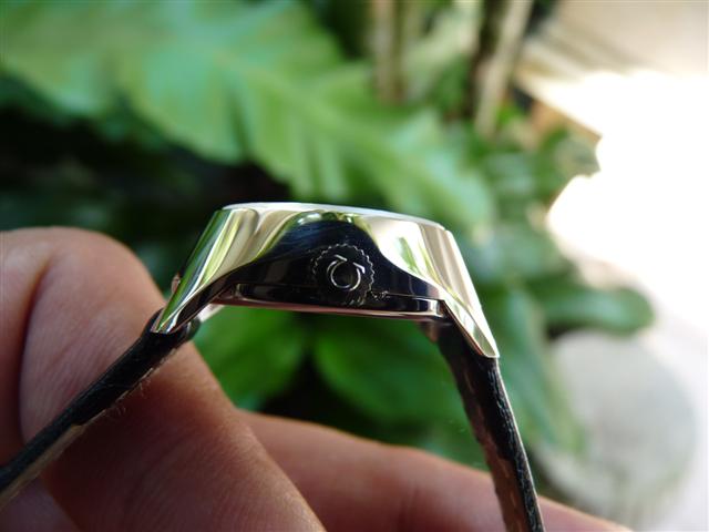 Name:  P1200157 (Small).JPG
Views: 3147
Size:  34.3 KB