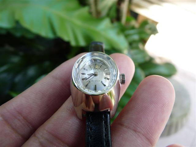 Name:  P1200156 (Small).JPG
Views: 3120
Size:  36.6 KB