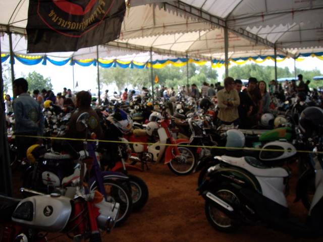 Name:  IMGP5809.jpg
Views: 118
Size:  108.3 KB